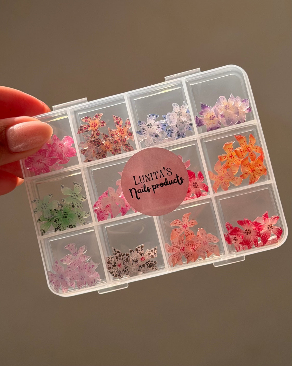 3D Bloom Flowers